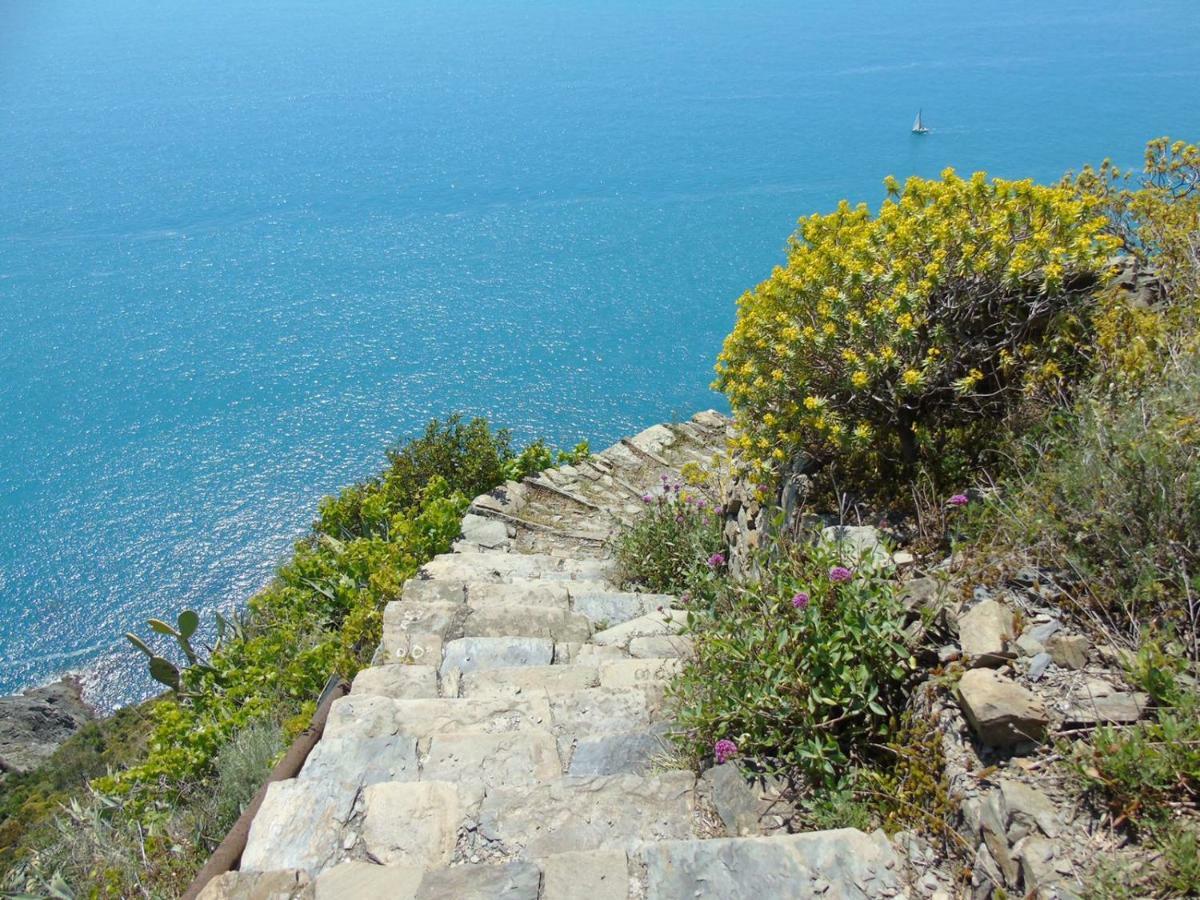 Agave Di Lerici Villa Dış mekan fotoğraf